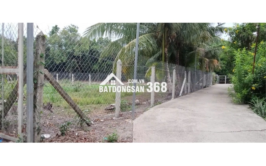 Bán Lô Đất Đẹp Mặt Tiền Đường An Sơn 32 – Gần Quanh Đai 3 – Chỉ 9,2 Triệu/M²